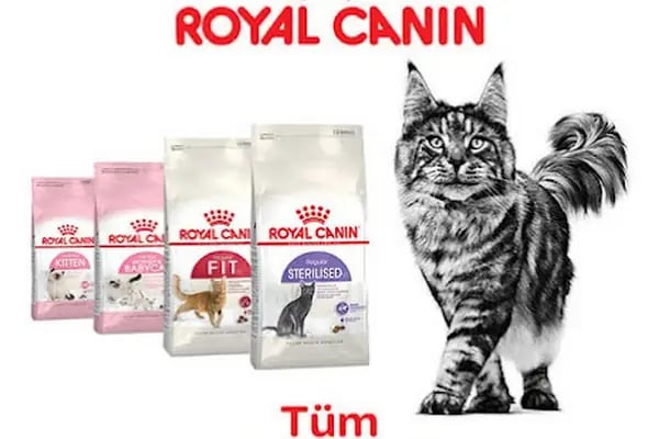 Mahmutlar Fundy Petshop Kedi ve Köpek Maması &amp; Aksesuarlar - Resim 12