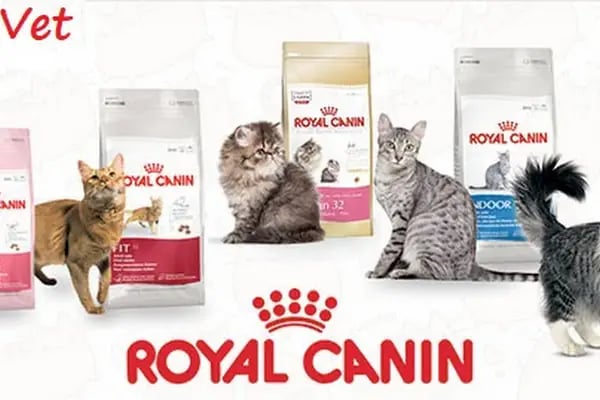 Mahmutlar Fundy Petshop Kedi ve Köpek Maması &amp; Aksesuarlar - Resim 11