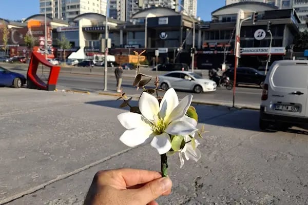 Bağlıca Çiçekçi 7yıldız Çiçek - Resim 6
