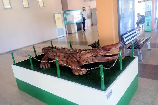 Acemler İstasyon Taksi - Resim 9