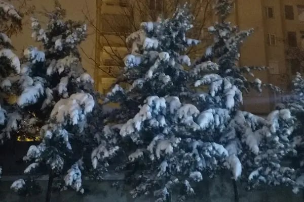 Osmangazi Mahallesi Semt Parkı-6 - Resim 5