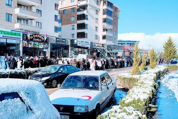 Peti veteriner kliniği - Resim 3