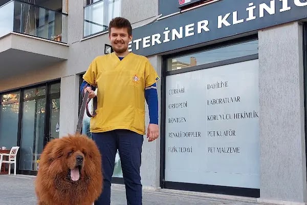 Pet 224 Veteriner Kliniği | 7/24 Acil Veteriner | Nöbetçi Veteriner | Beşevler Veteriner | Nilüfer Veteriner - Resim 4