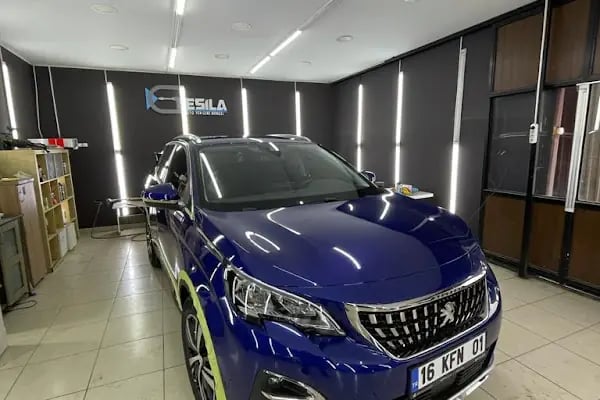 ESİLA OTO YENİLEME MERKEZİ - Resim 4