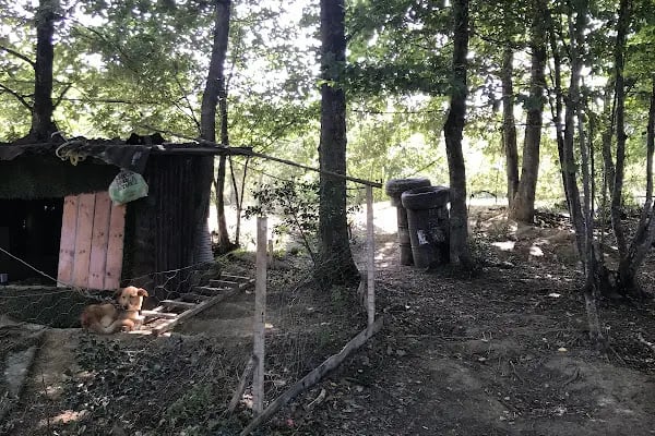 Gölçayir Park Restorant At çiftliği&amp;Paintball Ve Atv turları - Resim 4