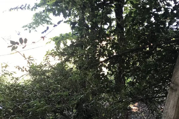 Gölçayir Park Restorant At çiftliği&amp;Paintball Ve Atv turları - Resim 3