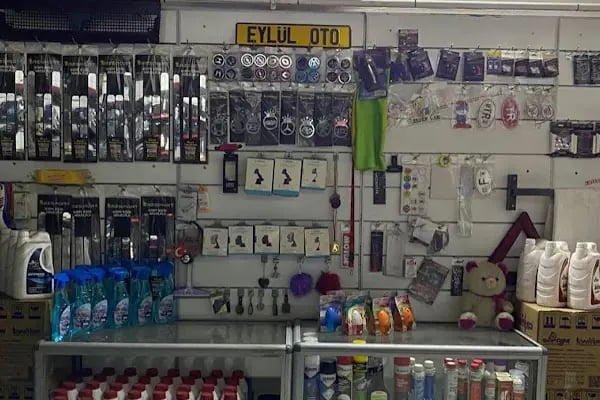 EYLÜL OTO LASTİK VE OTO ELEKTİRİK OTO KURTARICI - Resim 19