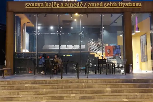 Şanoya Bajer a Amede (Amed Sehir Tiyatrosu) - Resim 20