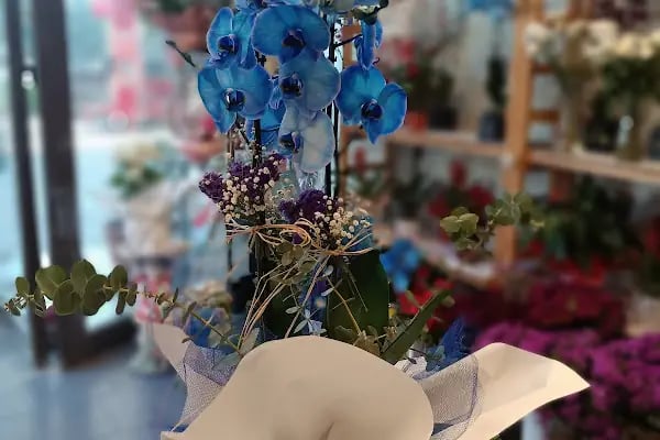 Elit Butik Çiçekçilik - Resim 14