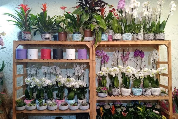 Elit Butik Çiçekçilik - Resim 3