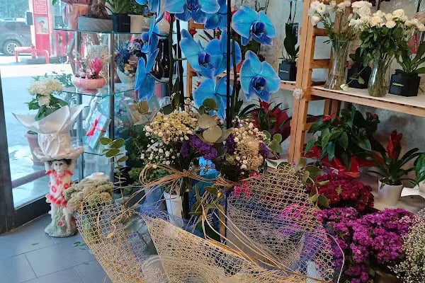 Elit Butik Çiçekçilik - Resim 17