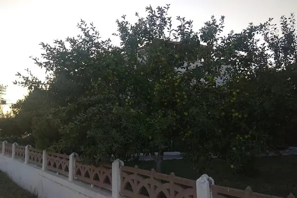Saros Meltem Tatil Sitesi - Resim 15