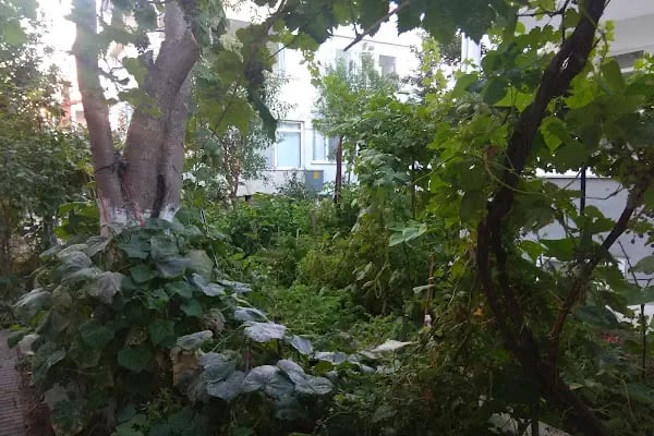 Saros Meltem Tatil Sitesi - Resim 14