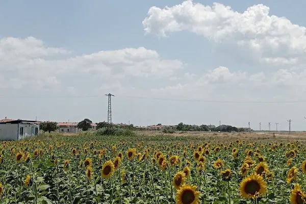 Saros Meltem Tatil Sitesi - Resim 10