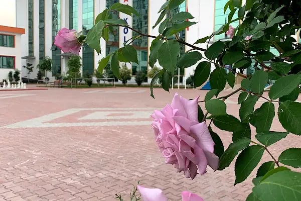 Mercan Çocuk Üniversitesi Malatya Anaokulu - Resim 6