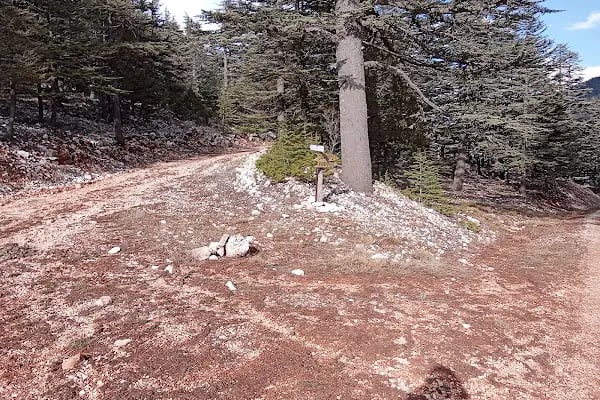 Çığlıkara Nature Reserve - Resim 13