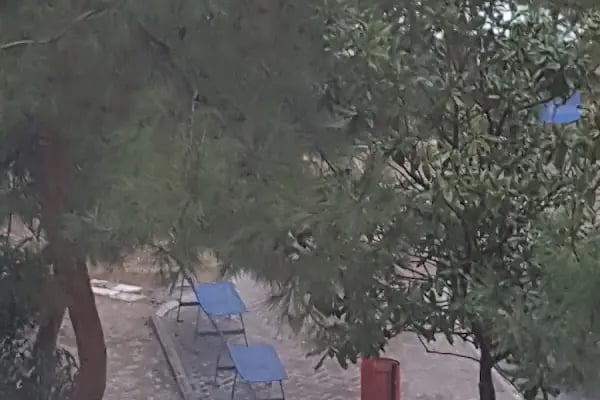 Doğanay Parkı - Resim 7