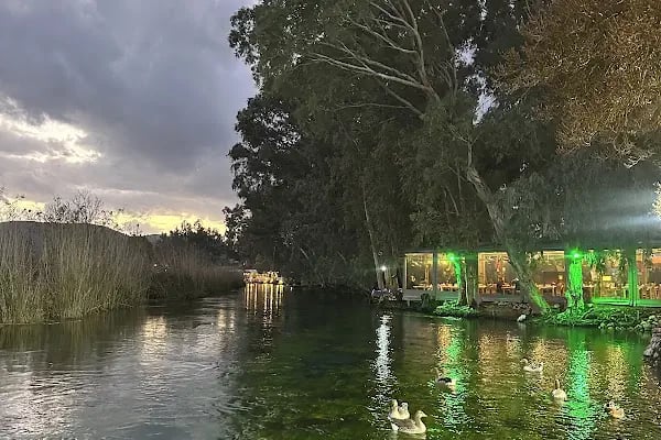 Vira Vira Restoran - Resim 7