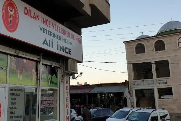 Dilan Veteriner Kliniği - Resim 3