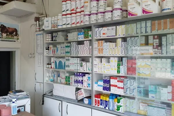 Dilan Veteriner Kliniği - Resim 4
