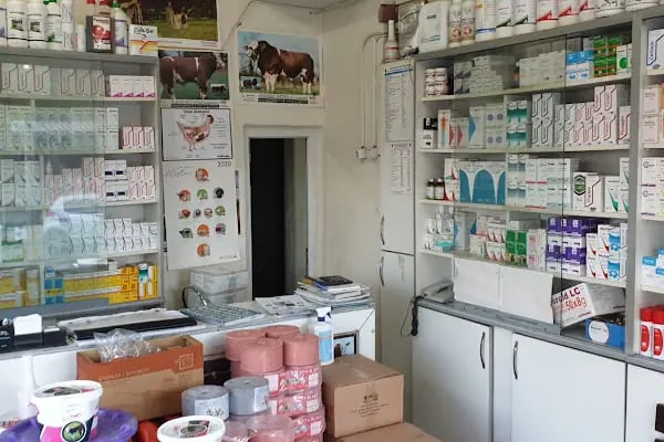 Dilan Veteriner Kliniği - Resim 1
