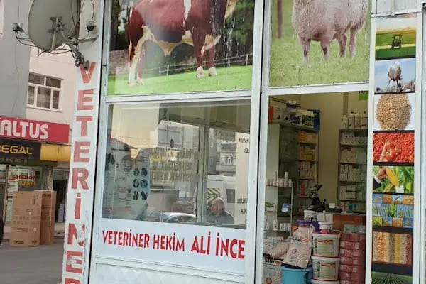 Dilan Veteriner Kliniği - Resim 2