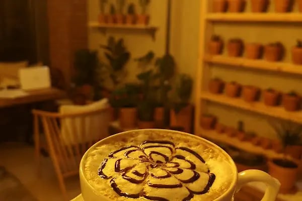 coffee cactus - Resim 12