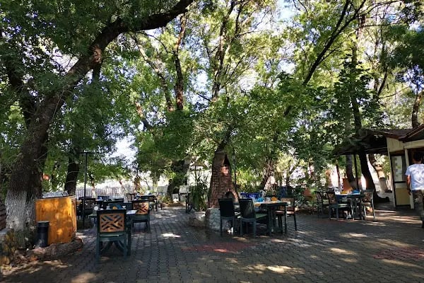 Çınar Restaurant ve Kır Bahçesi - Resim 4