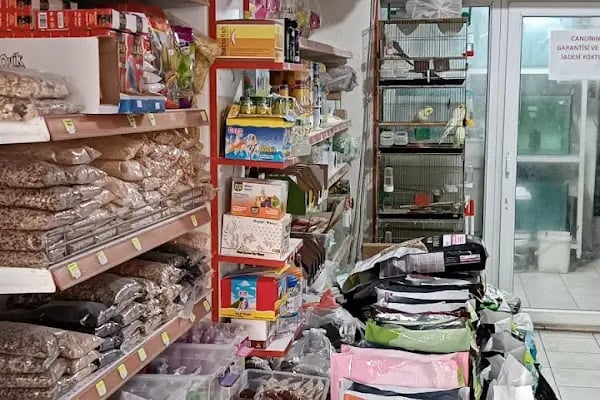 Yalçın Akvaryum &amp; Pet Shop - Resim 5