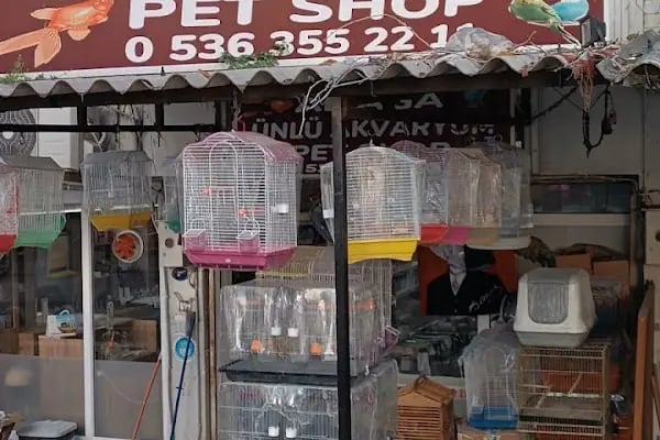 Yalçın Akvaryum &amp; Pet Shop - Resim 15