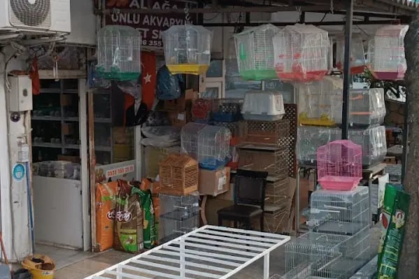 Yalçın Akvaryum &amp; Pet Shop - Resim 9
