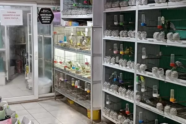 Yalçın Akvaryum &amp; Pet Shop - Resim 7