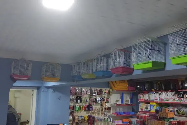 TİTİŞ PETSHOP - Resim 18