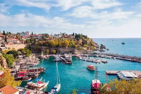 ZENİA OTEL - Resim 8