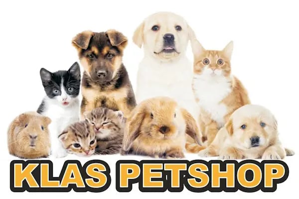 Klas Petshop - Resim 19