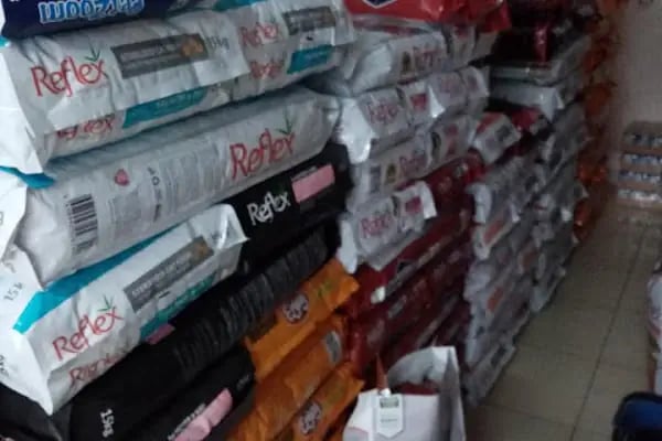 Klas Petshop - Resim 20