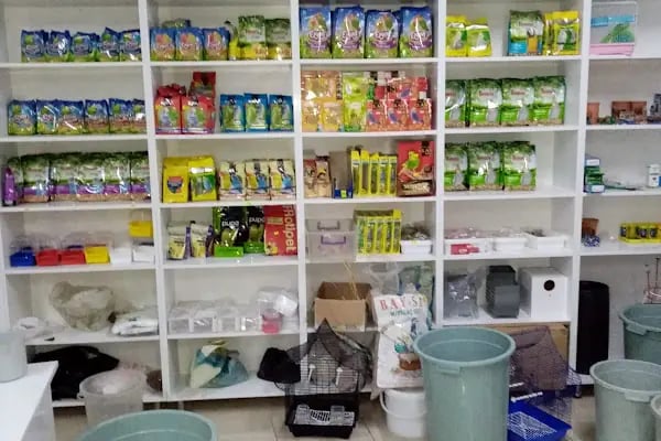 Klas Petshop - Resim 12