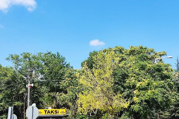 Has Taksi - Resim 1