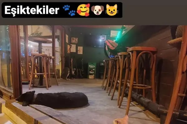 Cycle Bar - Resim 18