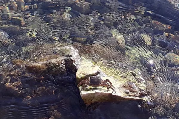 Bodrum Belediyesi Halk Plajı - Resim 14