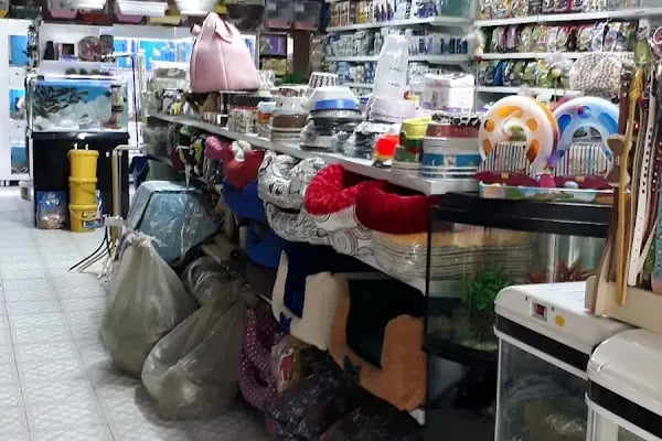 ŞİRİN DOSTLAR AKVARYUM VE KUŞ EVİ - Resim 3