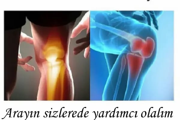 Op. Dr. Ahmet Özyazgan - Resim 16