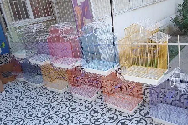Hülyam Petshop - Resim 3