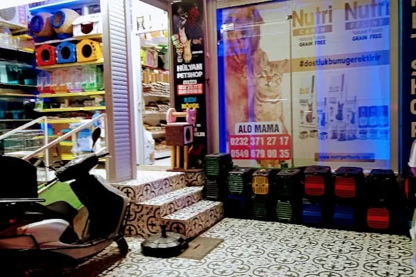 Hülyam Petshop - Resim 2