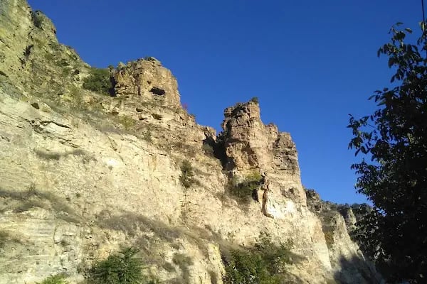Cevizlibağ Konaklama ve Dinlenme Tesisleri - Resim 9