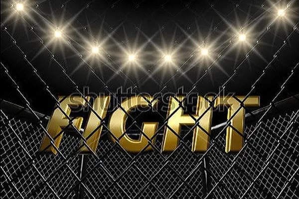 Gölcük Black Dragon Fight club - Resim 18