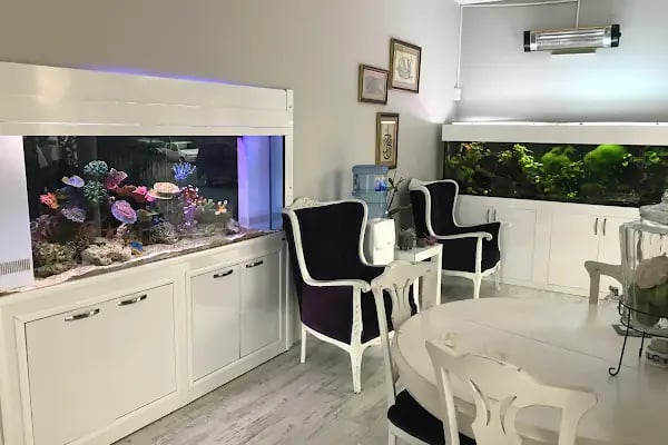 Bluelife Akvaryum San.Tic.Ltd.Şti - Resim 7