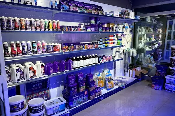 Bluelife Akvaryum San.Tic.Ltd.Şti - Resim 15