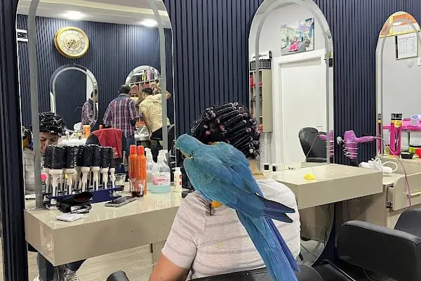 Sunshine Hair Cut | Barber Shop Alanya - Resim 4
