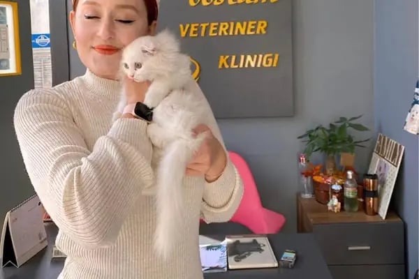 Can Dostum Veteriner Kliniği - Resim 15